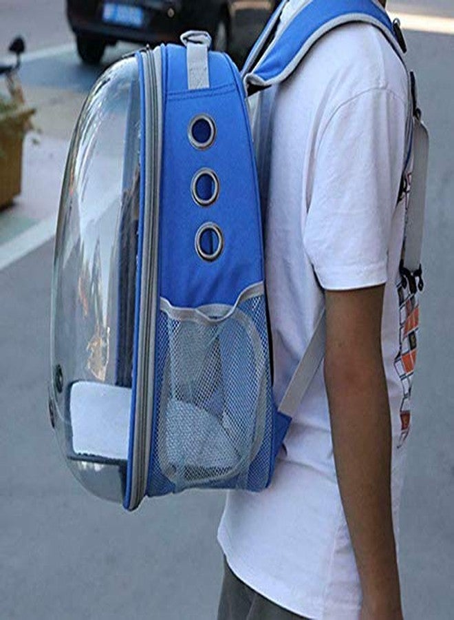 The DDS Store Pet Transparent Cat Carrier Backpack Puppy Kitty Breathable Carriers for Travel (Blue) - Image 4